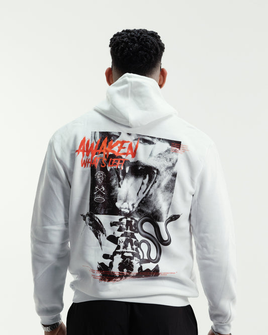 Hoodie The Awakening