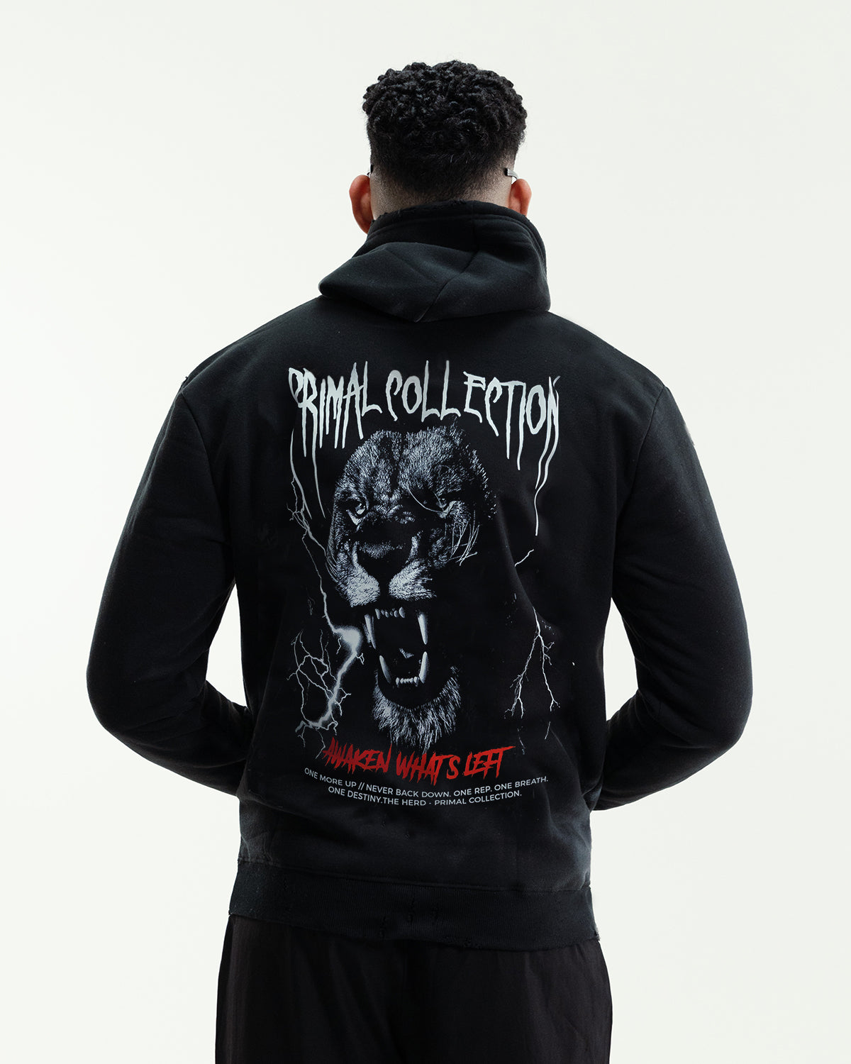 Hoodie León